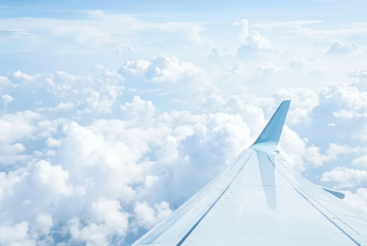 An aircraft wing in flight
